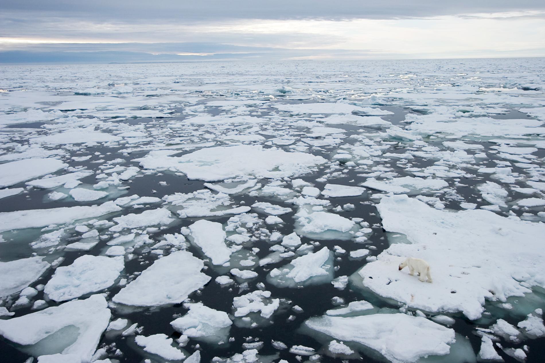 Arctic Ice melting